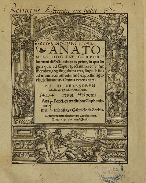Title page, Johann Dryander, Anatomiae, hoc est, corporis humani dissectionis pars prior, 1537, National Library of Medicine (collections.nlm.nih.gov)