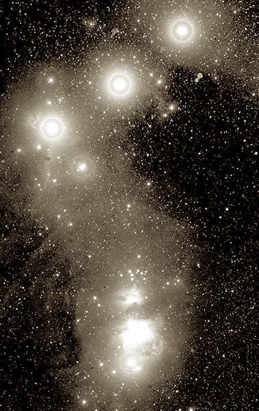 The Horsehead Nebula at upper left, just below the bright left-hand star, first identified by Williamina Fleming from this 1888 Harvard plate (DASCH at Harvard)
