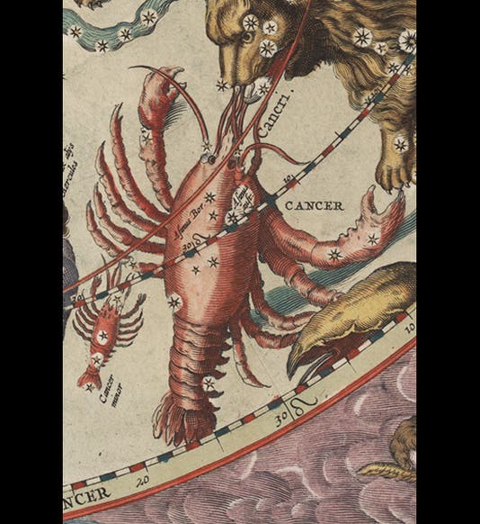 084044, 11/18/08, 1:17 PM, 8C, 5880x8000 (90+0), 100%, Custom, 1/60 s, R20.5, G6.9, B17.5