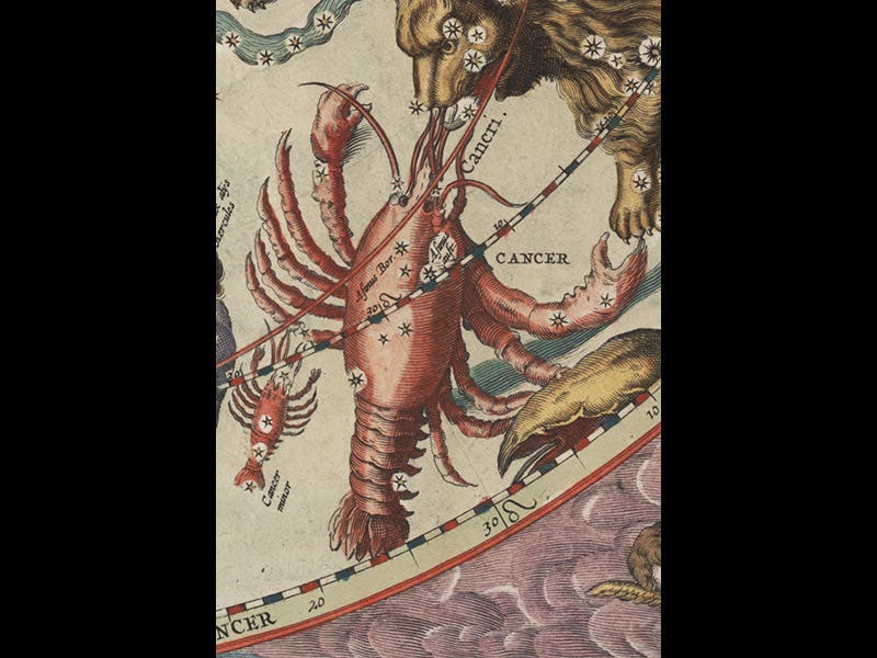 084044, 11/18/08, 1:17 PM, 8C, 5880x8000 (90+0), 100%, Custom, 1/60 s, R20.5, G6.9, B17.5