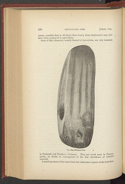 Polished celt from Wollaton Park, Nottingham, wood-engraving, in John Evans, The Ancient Stone Implements, Weapons and Ornaments of Great Britain, 1872 (author’s copy)