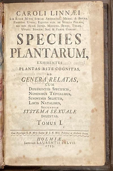 Title page, Species plantarum, by Carl Linnaeus, vol. 1, 1753, (Linda Hall Library)