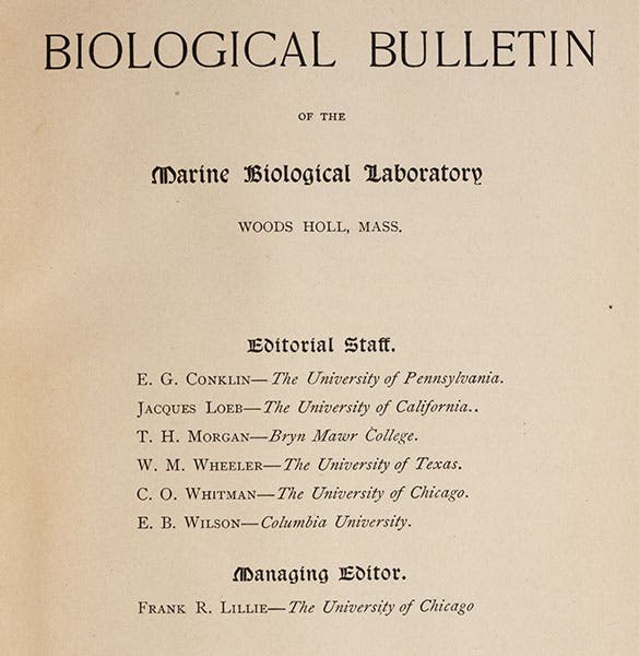 Masthead of the Biological Bulletin, 1903, including the names of Edmund Beecher Wilson and Thomas Hunt Morgan (Linda Hall Library)