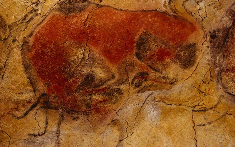 Charging bull or bison, painting on the ceiling of Altamira cave, modern photograph (culturaydeporte.gob.es)