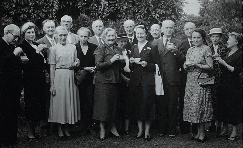 Ellen Gleditsch at the meeting of the Joint Commission on Radioactivity, Stockholm, 1953; Gleditsch is in the center of the second row, the shortest of all the commission members (degruyter.com)