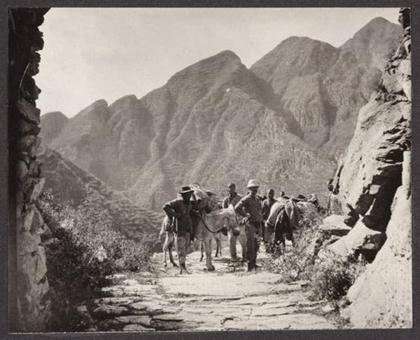Frank Meyer on a plant gathering expedition in China (Arnold Arboretum)