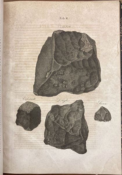 One of the stones that fell at l’Aigle on Apr. 26, 1803; bottom center of lithographed plate, in Beytrage zur Geschichte und Kenntniss meteorischer Stein- und Metall-Massen, by Karl von Schreibers, 1820 (Linda Hall Library)