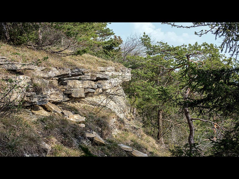 FFH Gebiet  5233-304  Muschelkalk-Landschaft westlich Rudolstadt   Gölitzwände  DE-TH  9