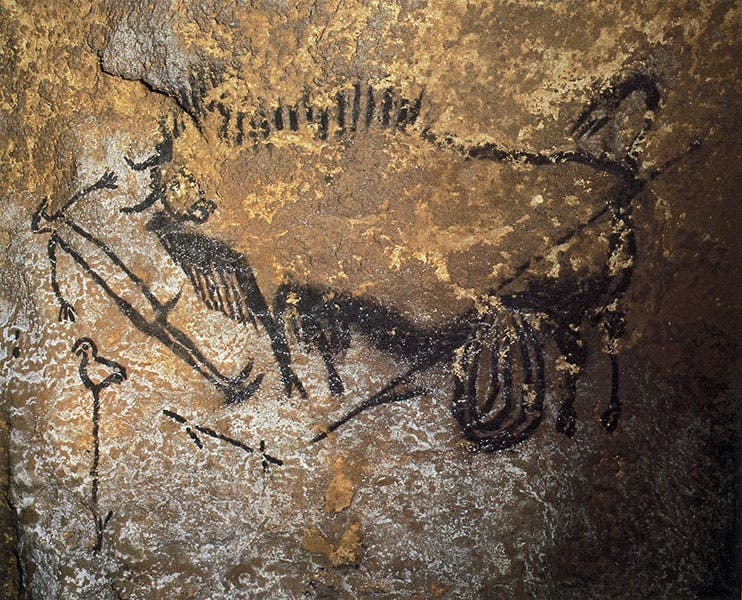 Bird-headed man (the only depiction of a human at Lascaux) and a disemboweled bison in The Shaft, Lascaux (donsmaps.com)