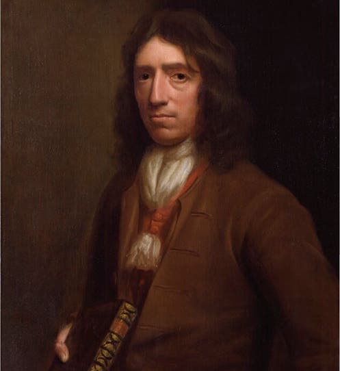 Portrait of William Dampier, by Thomas Murray, oil on canvas 1697-98 (National Portrait Gallery, London)