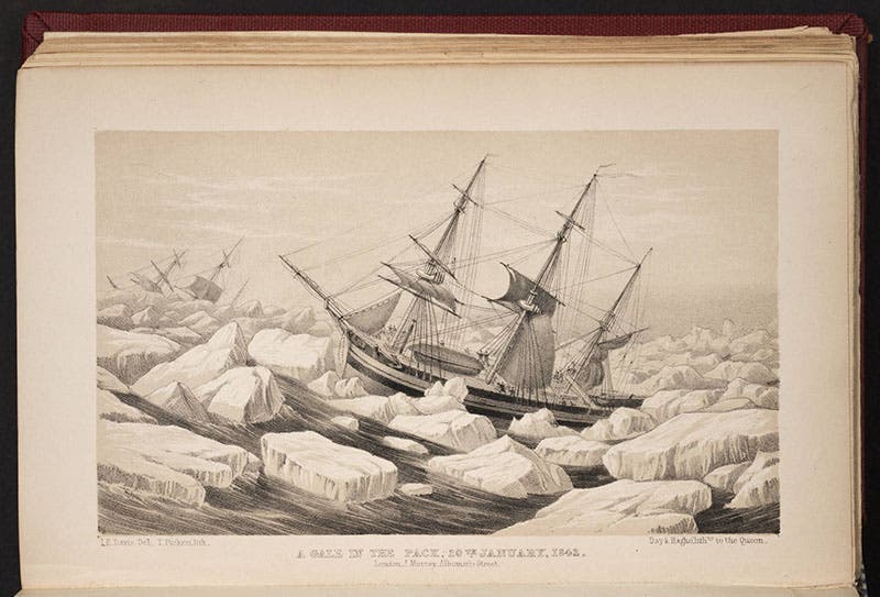 HMS Erebus and Terror in the Antarctic ice pack, from A Voyage of Discovery and Research, by James Clark Ross, engraving, 1847 (Linda Hall Library)