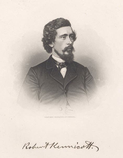 Portrait of Robert Kennicott, frontispiece to article on Kennicott, Transactions of the Chicago Academy of Sciences, vol. 1, opp. page 133, 1867-69 (Linda Hall Library)