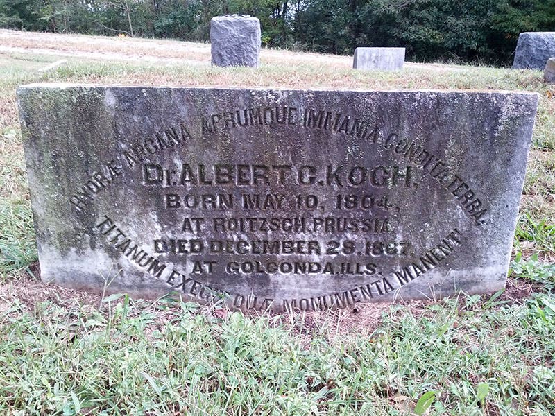 Gravestone of Albert C. Koch, IOOF cemetery, Golconda, Illinois (findagrave.com)