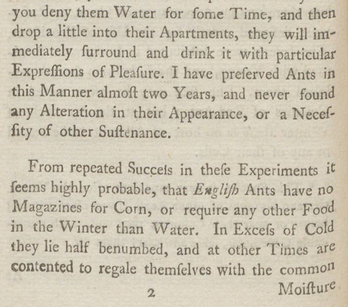 Paragraph concluding that ants do not store grain, p. 92, An Account of English Ants, by William Gould, 1747 (Linda Hall Library)
