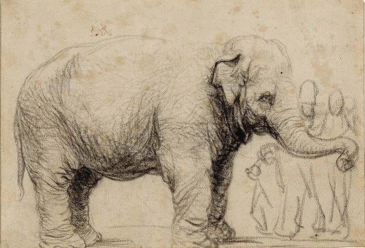 Sketch of Hansken by Rembrandt, chalk and charcoal on paper, 1637 (British Museum via Wikimedia commons)