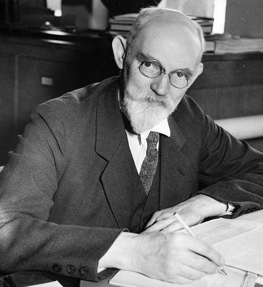 Portrait of Willem de Sitter, photograph, ca 1930 (Wikimedia commons)