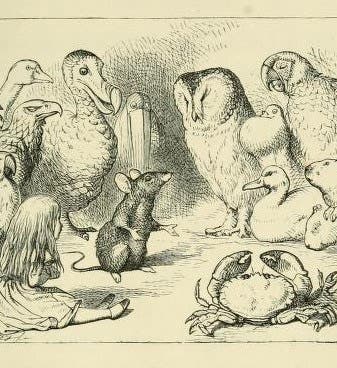 Animals on the bank, before the Caucus-Race, wood engraving after a drawing by John Tenniel, Alice’s Adventures in Wonderland, by Lewis Carrol, p. 29, 1866, Gettysburg College Library (archive.org)