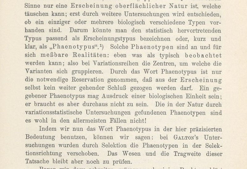 Introduction and explanation of the term “phenotype,” Wilhelm Johannsen, Elemente der exakten Erblichtkeitslehre, p. 123, 1909 (Linda Hall Library)