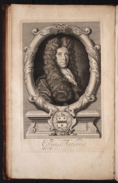 Portrait of an older Nehemiah Grew, engraving, from his Cosmologia sacra, 1701 (Linda Hall Library)
