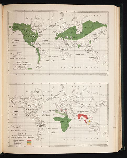 Distribution maps of extinct elephants and mastodons (<i>top</i>) and living elephants (<i>bottom</i>), Murray, <i>Geographical Distribution of Mammals</i>, 1866 (Linda Hall Library)
