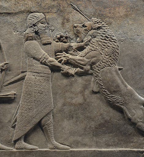 A sculpted relief depicting Ashurbanipal killing a lion, ca 640 BCE, one of many reliefs from the North Palace of Nineveh, excavated by Hormuzd Rassam in 1853-54 and sent back to the British Museum, where an entire room is now devoted to their display (Wikimedia commons)