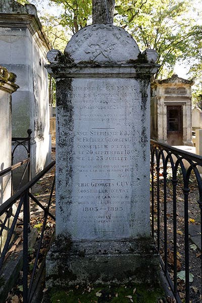 Gravestone of Frédéric Cuvier, Pere Lachaise Cemetery, Paris (findagrave.com)