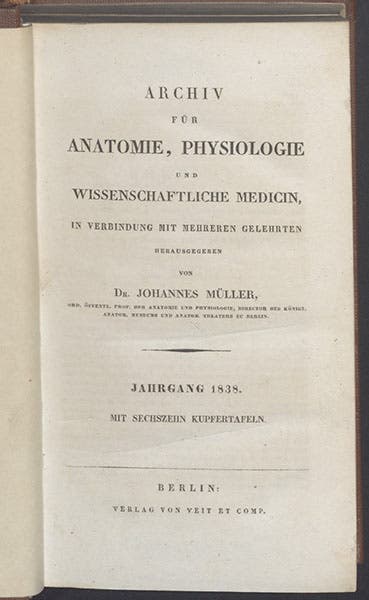 Title page of vol. 5 of Müller's Archiv, 1838, which contains the paper by Matthias Schleiden on phytogenesis (Linda Hall Library)