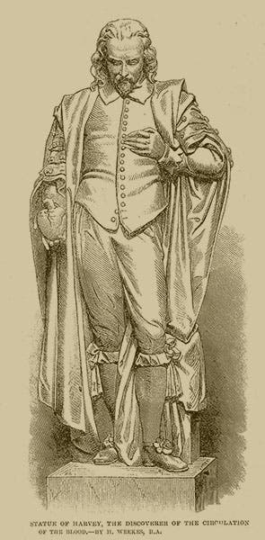 Statue of William Harvey, by Henry Weekes, wood engraving, Illustrated London News, Dec. 12, 1863 (Wikimedia commons)