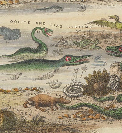 Prehistoric animals of the Oolite and Lias systems, detail of  “The Antediluvian World”, hand-colored engraved chart by John Emslie, in James Reynolds, Diagrams Illustrating the Sciences of Astronomy and Geography, 1844-50 (Linda Hall Library)