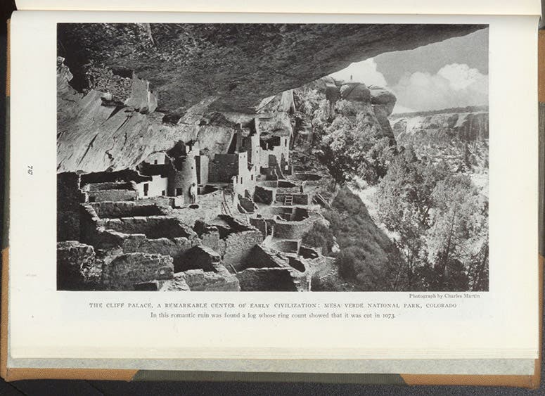 Cliff House at Mesa Verde, photograph in article by Andrew E. Douglass, National Geographic, 1929 (Dec.), vol. 56, no. 6 (Linda Hall Library)
