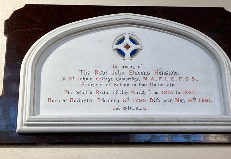 Gravestone of John Stevens Henslow, All Saints Churchyard, Hitcham, Suffolk (findagrave.com)