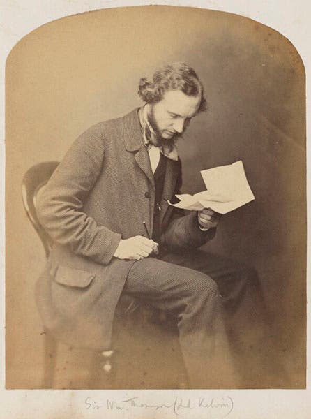 Portrait of William Thomson, photograph, late 1950s (National Portrait Gallery, London)