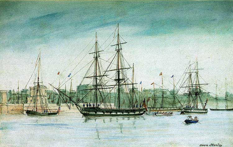 HMS Beagle in 1841, 10 years after McCormick signed on as ship’s surgeon and naturalist, watercolor, by Owen Stanley (Wikimedia commons)