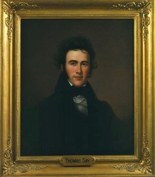 Portrait of Thomas Say, oil on canvas, by Rembrandt Peale, after Charles Willson Peale, 1841, Academy of Natural Sciences, Philadelphia (ansp.org)