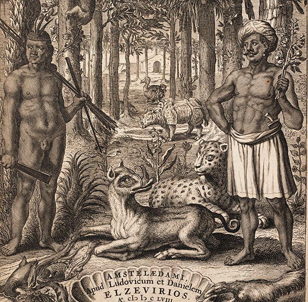 Detail of engraved title page, Willem Piso, De Indiae utriusque, 1658, showing babirusa, tiger, rhinoceros, and dodo (Linda Hall Library)