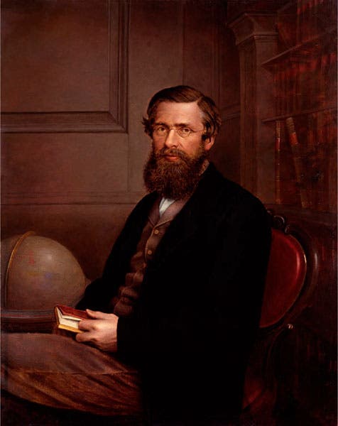 Portrait of Alfred Russel Wallace, oil over photograph, by Thomas Sims, mid-1860s, National Portrait Gallery, London (npg.org.uk)