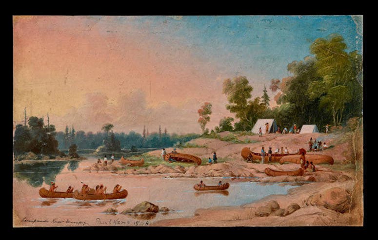 “Assembly of canoes on the Winnipeg River in Manitoba,” oil on paper, 1846, Stark Museum of Art, Orange, Texas