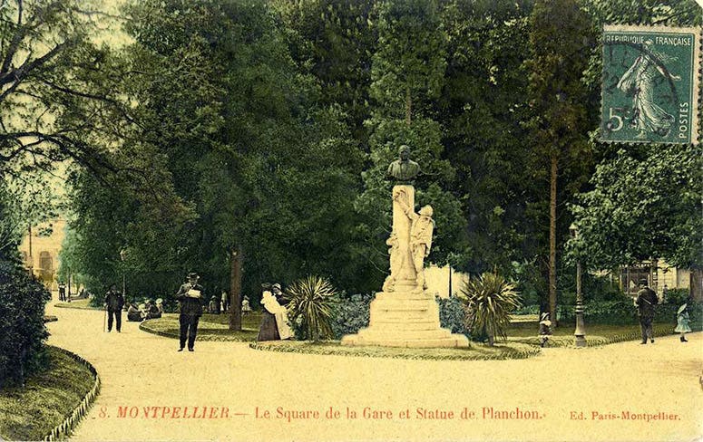Bust of Jules-Émile Planchon in the Square Planchon, Montpellier, France, postcard, ca 1900 (montpellier.fr)