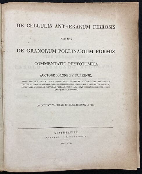 Title page, De cellulis antherarum fibrosis nec non de granorum pollinarium commentatio phytotomica, by Jan Evangelista Purkynĕ, 1830 (Linda Hall Library)