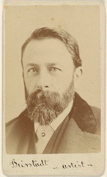 Portrait of Albert Bierstadt, carte de visite, undated (J. Paul Getty Museum)