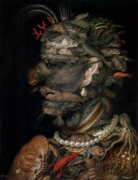 Water (from the Four Elements series), by Giuseppe Arcimboldo, 1566, Kunsthistorisches Museum, Vienna (wga.hu)