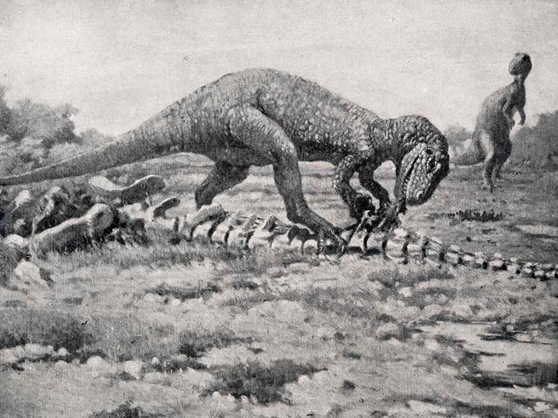 “Allosaurus feeding on a sauropod,” oil painting by Charles Knight, American Museum Journal, vol. 14, 1914 (Linda Hall Library)