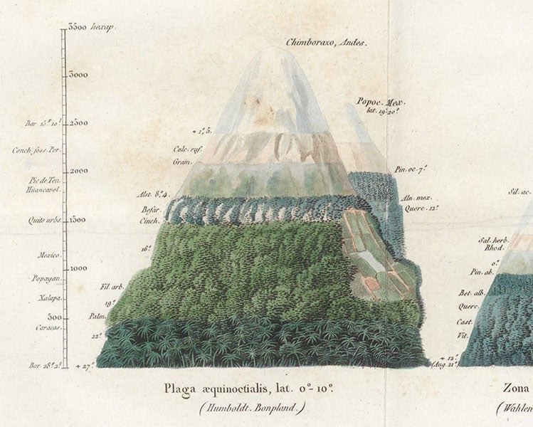 Detail of frontispiece (1st and 6th images), showing the vegetation on Chimborazo (Andes) and Popocatépetl (Mexico); scale at left is in fathoms, Alexander von Humboldt, De distributione geographica plantarum, 1817 (Linda Hall Library)