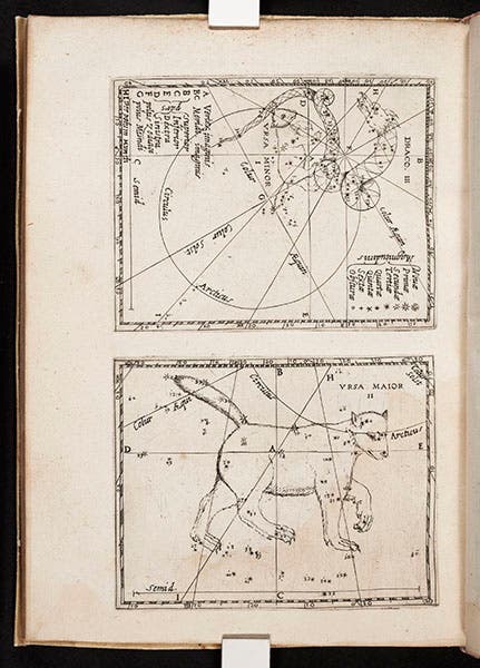 The constellations Draco and Ursa minor (top) and Ursa major (bottom), etched plates in Christoph Grienberger, Catalogus veteres … cum novis, 1612 (Linda Hall Library)