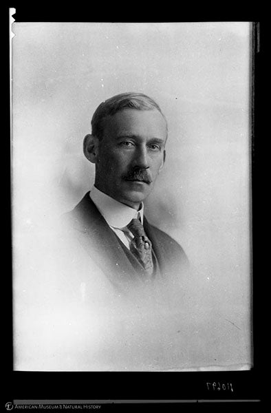 Portrait of Walter Granger, photograph, 1927, American Museum of Natural History Archives (images.libary.amnh.org)