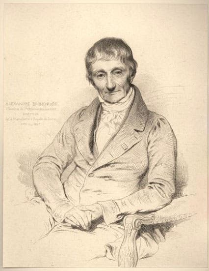 Lithograph portrait of Brongniart, after 1847 (Smithsonian Libraries)