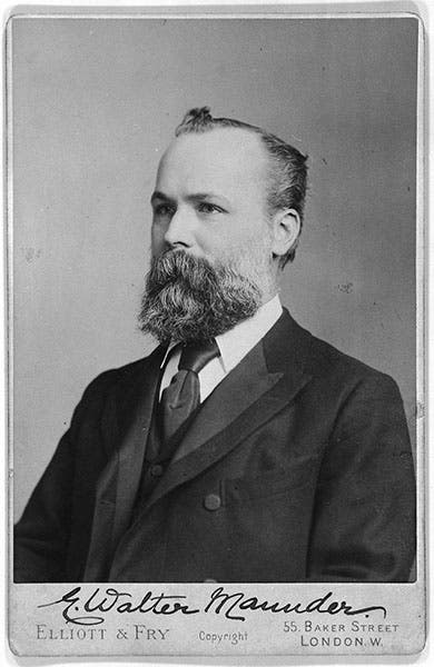 Portrait of E. Walter Maunder, photograph, carte de visite, date unknown, Royal Museums Greenwich (rmg.co.uk)