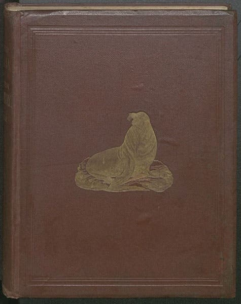 Embossed front cover, Charles Scammon, Marine Mammals, 1874 (Linda Hall Library)