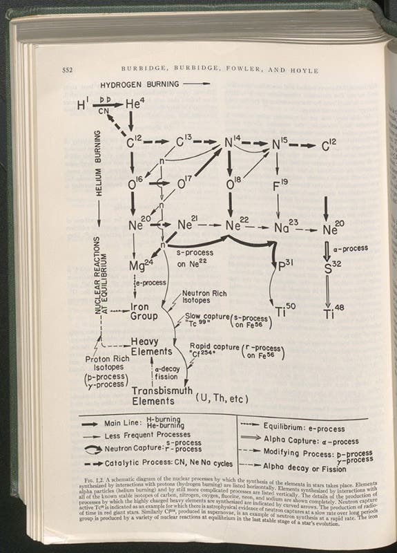 Graphical summary of the various paths of stellar nucleosynthesis, as identified by Willy Fowler and Fred Hoyle in the B2FH paper in Reviews of Modern Physics, vol. 29, 1957 (Linda Hall Library)