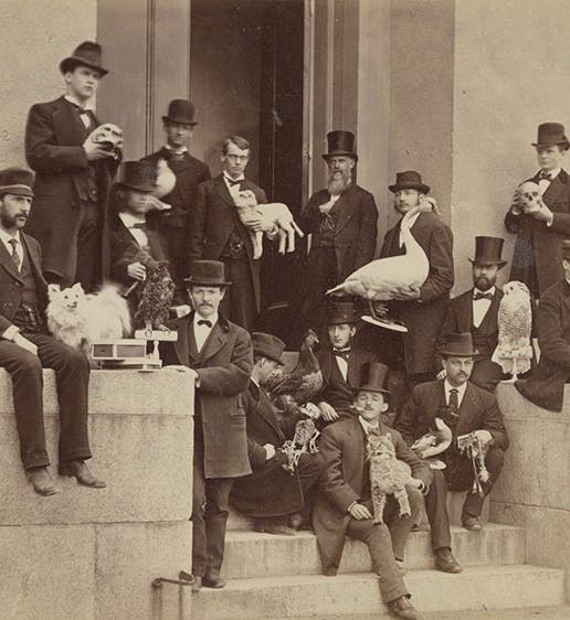 John Whipple Potter Jenks (at rear with top hat and beard) and his taxidermy class in front of Rhode Island Hall, Brown University, photograph, 1875 (nemasket.blogspot.com)